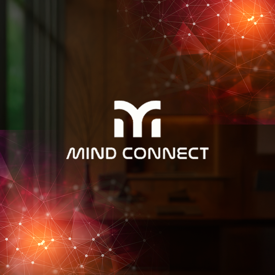Mind Connect - Conexoes que Revolucionam